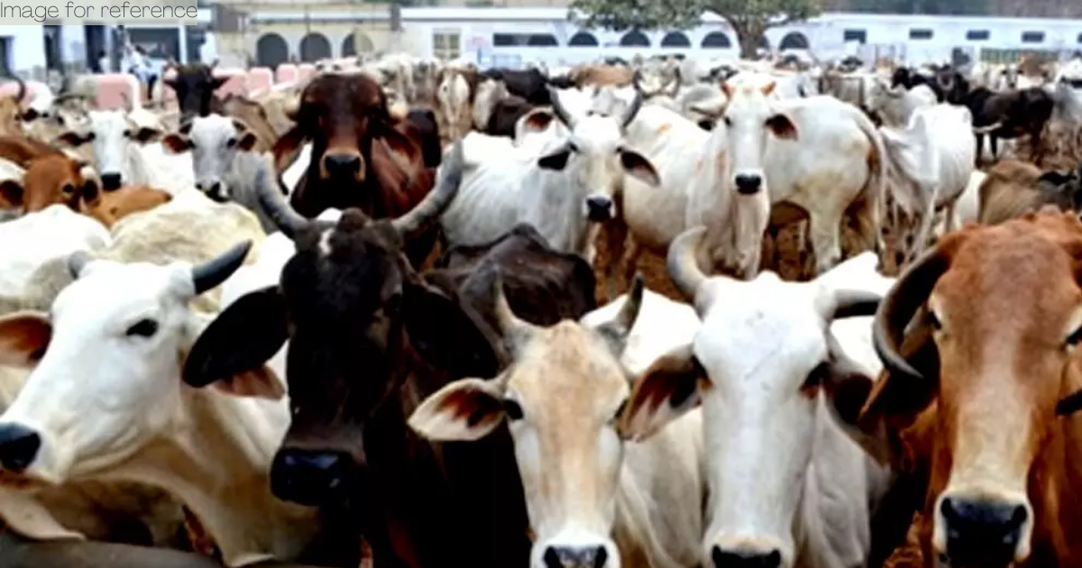 West Bengal cattle smuggling case: Delhi HC issued notice to ED on Enamul Haque bail plea